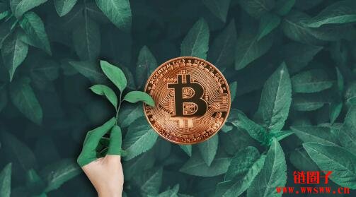 狗币钱包（rvn钱包手续费）-第3张图片-火必下载