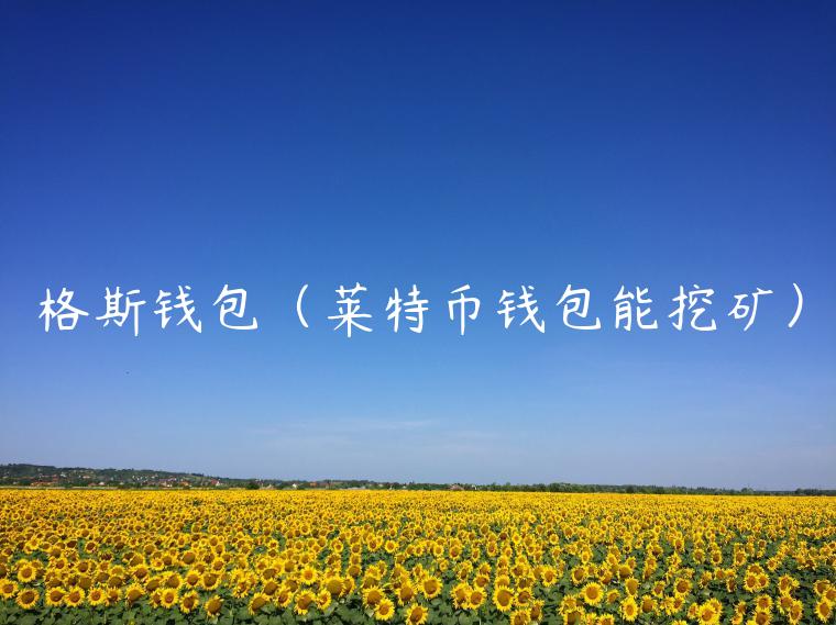 格斯钱包（莱特币钱包能挖矿）-第1张图片-火必下载