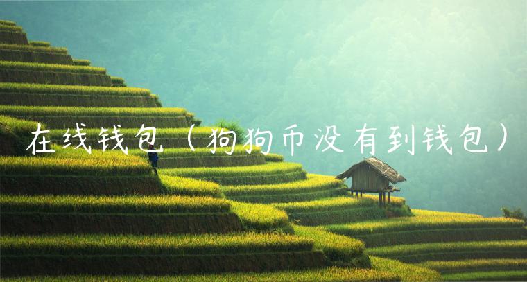 在线钱包(狗狗币没有到钱包)-第1张图片-火必下载 在线钱包(狗狗币没有到钱包)-第1张图片-火必下载