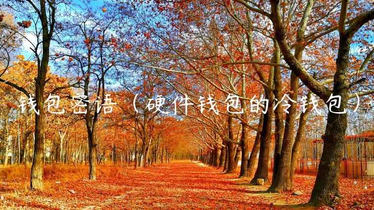 钱包密语(硬件钱包的冷钱包)-第1张图片-火必下载 钱包密语(硬件钱包的冷钱包)-第1张图片-火必下载