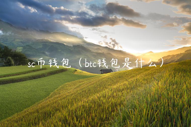 sc币钱包（btc钱包是什么）-第1张图片-火必下载