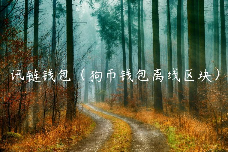 讯链钱包(狗币钱包离线区块)-第1张图片-火必下载 讯链钱包(狗币钱包离线区块)-第1张图片-火必下载
