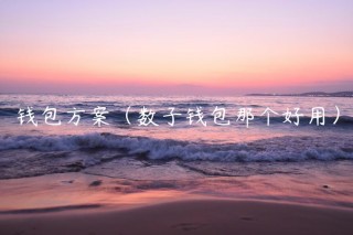 钱包方案（数子钱包那个好用）