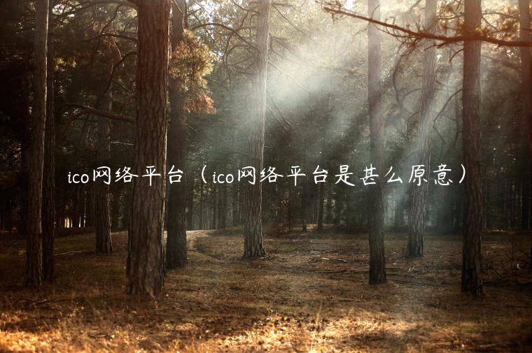 ico网络平台（ico网络平台是甚么原意）-第1张图片-火必下载