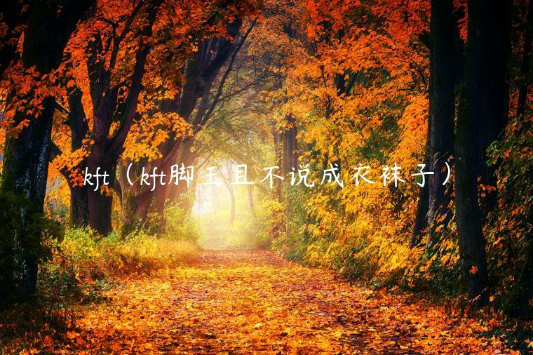 kft（kft脚王且不说成衣袜子）-第1张图片-火必下载