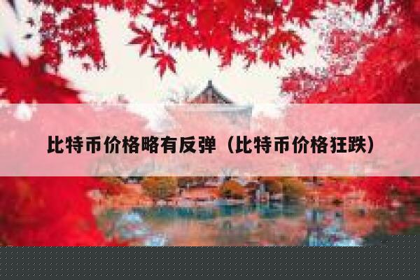 比特币价格略有反弹（比特币价格狂跌）-第1张图片-火必下载