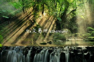 ft 交易平台 - thrum