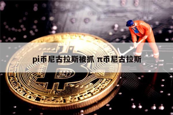 pi币尼古拉斯被抓了吗 pi币主网上线时间-第1张图片-火必下载
