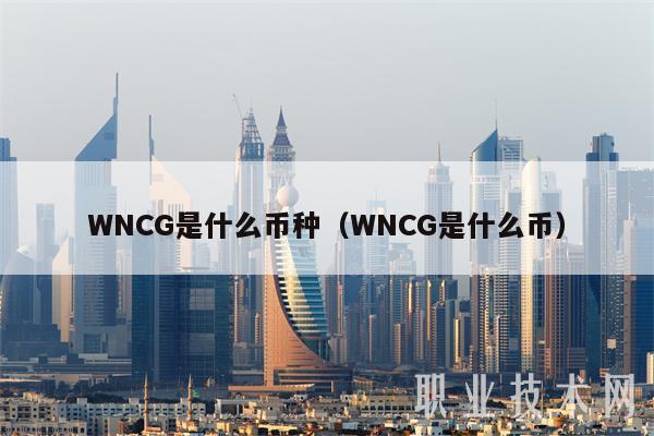 WNCG是什么币种（WNCG是什么币-第1张图片-火必下载