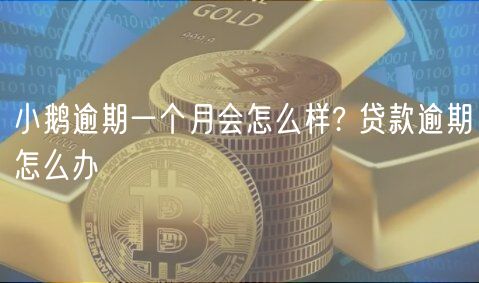 小鹅逾期一个月会怎么样? 贷款逾期怎么办-第1张图片-火必下载