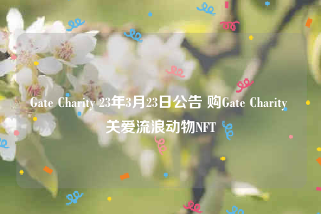 Gatb Charity 23年3月23日公告 购Gatb Charity 关爱流浪动物NFT-第1张图片-火必下载