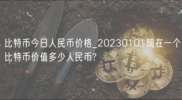 比特币今日人民币价格_20230101现在一个比特币价值多少人民币?-第1张图片-火必下载