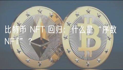 比特币 NFT 回归：什么是“序数 NFT”？-第1张图片-火必下载
