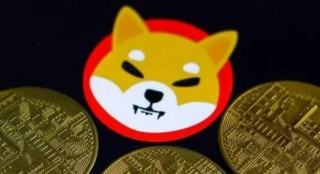 v神说柴犬币能涨到一元靠谱吗 柴犬币2024年会多少钱