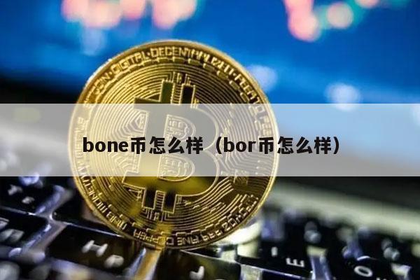 bon币怎么样(bor币怎么样-第1张图片-火必下载 bon币怎么样(bor币怎么样-第1张图片-火必下载