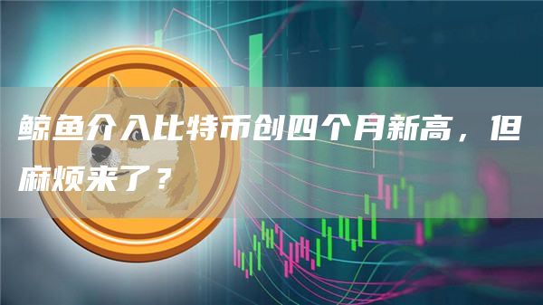 鲸鱼介入比特币创四个月新高,但麻烦来了?-第1张图片-火必下载 鲸鱼介入比特币创四个月新高,但麻烦来了?-第1张图片-火必下载