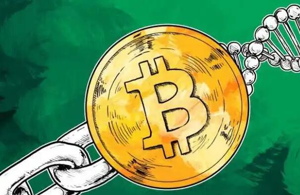 比特币app下载安卓最新版 比特币app钱包比特币app交易所官网下载-第1张图片-火必下载