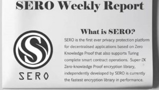 SERO比今日价格行情是多少