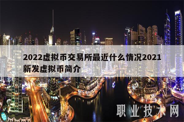 2022虚拟币交易所最近什么情况2021新发虚拟币简介-第1张图片-火必下载
