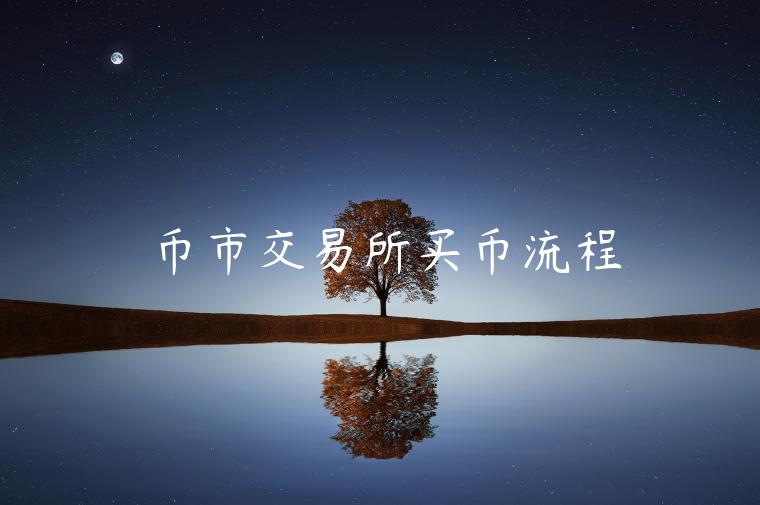 币市 交易平台买币流程-第1张图片-火必下载