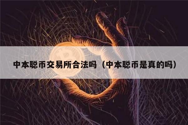 中本聪币交易所合法吗(中本聪币是真的吗)-第1张图片-火必下载 中本聪币交易所合法吗(中本聪币是真的吗)-第1张图片-火必下载