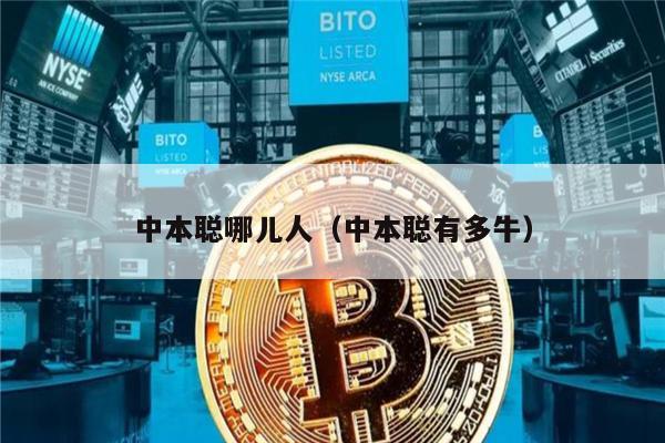 中本聪哪儿人（中本聪有多牛）-第1张图片-火必下载