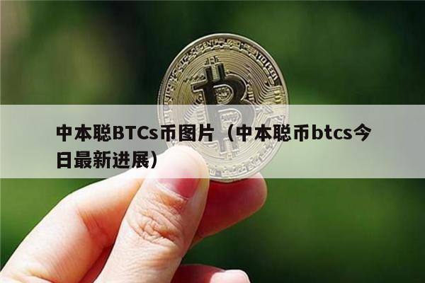 中本聪BTCs币图片（中本聪币btcs今日最新进展）-第1张图片-火必下载