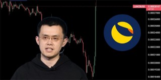 LUNC秒涨46%！赵长鹏不敌抵制binance运动改全面销毁