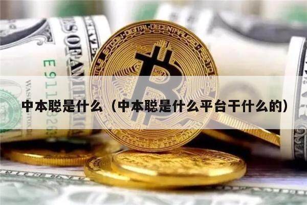 中本聪是什么（中本聪是什么平台干什么的）-第1张图片-火必下载