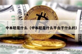 中本聪是什么（中本聪是什么平台干什么的）