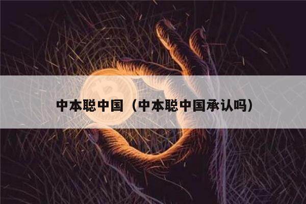 中本聪中国（中本聪中国承认吗）-第1张图片-火必下载