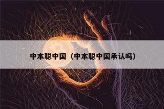 中本聪中国（中本聪中国承认吗）
