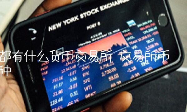 都有什么货币交易平台-第1张图片-火必下载
