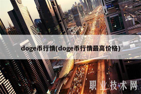 doge币行情(doge币行情最高价格)-第1张图片-火必下载