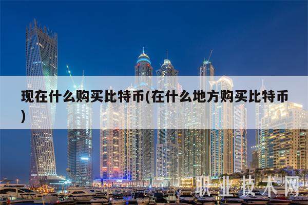 现在什么购买比特币(在什么地方购买比特币)-第1张图片-火必下载