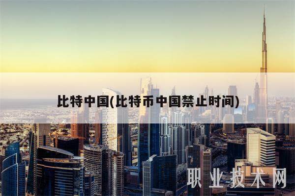 比特中国(比特币中国禁止时间)-第1张图片-火必下载