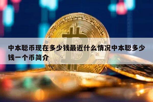 中本聪币现在多少钱最近什么情况中本聪多少钱一个币简介-第1张图片-火必下载