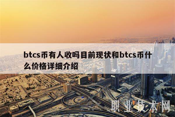 btcs币有人收吗目前现状和btcs币什么价格详细介绍-第1张图片-火必下载