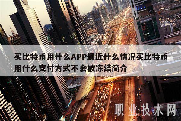 买比特币用什么APP最近什么情况买比特币用什么支付方式不会被冻结简介-第1张图片-火必下载