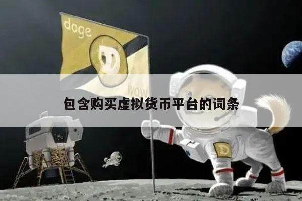 包含购买虚拟货币平台的词条-第1张图片-火必下载