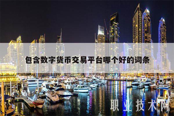 包含数字货币交易平台哪个好的词条-第1张图片-火必下载