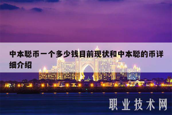 中本聪币一个多少钱目前现状和中本聪的币详细介绍-第1张图片-火必下载