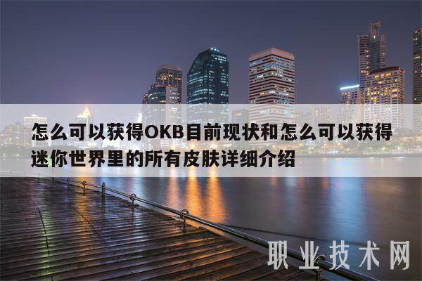怎么可以获得OKB目前现状和怎么可以获得迷你世界里的所有皮肤详细介绍-第1张图片-火必下载