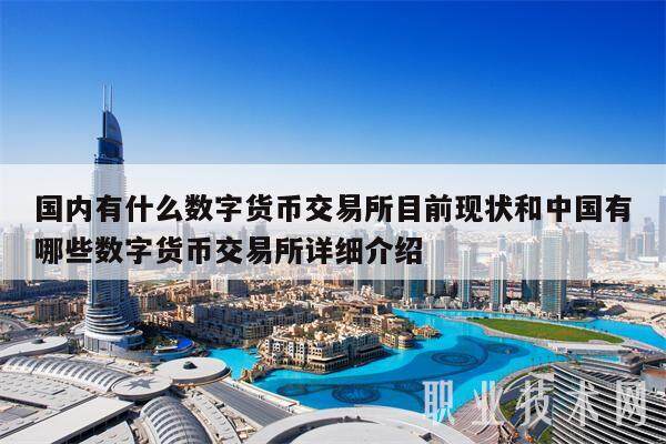 国内有什么数字货币交易所目前现状和中国有哪些数字货币交易所详细介绍-第1张图片-火必下载