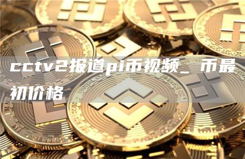 cctv2报道pi币视频_π币最初价格