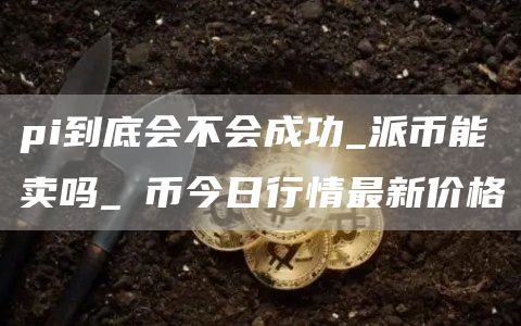 pi到底会不会成功_派币能卖吗_π币今日行情最新价格