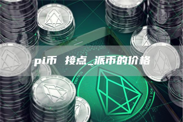 pi币 接点_派币的价格