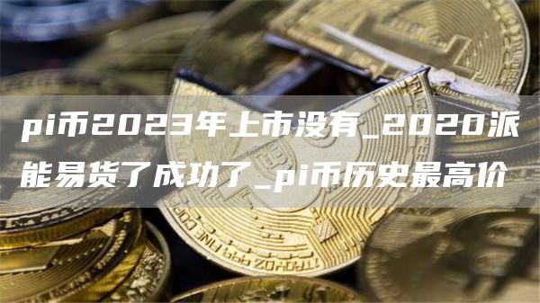 pi币2023年上市没有_2020派能易货了成功了_pi币历史最高价