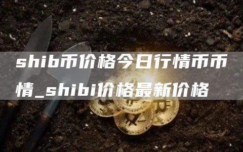 shib币价格今日行情币币情_shibi价格最新价格