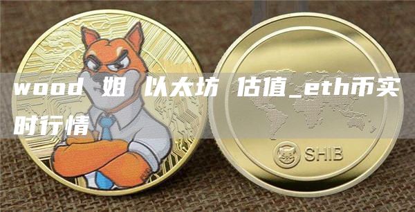 wood 姐 以太坊 估值_th币实时行情